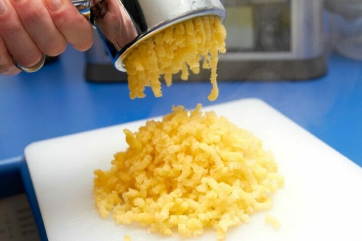 8 Best Ideas That Helps In Place Of Potato Ricer - The Rusty Spoon
