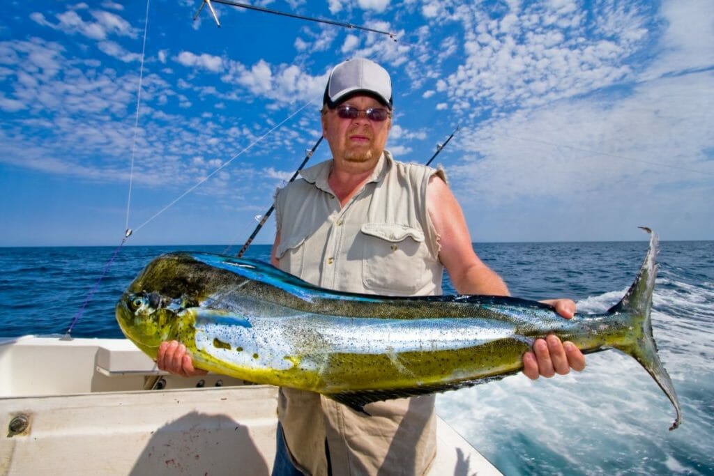 A Flavor Review What Does Mahi Mahi Taste Like? The Rusty Spoon