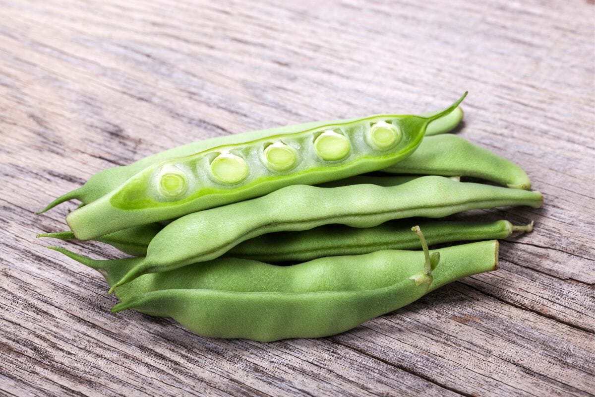 A Significant Guide To Determine If You Can Eat Green Beans Raw The Rusty Spoon