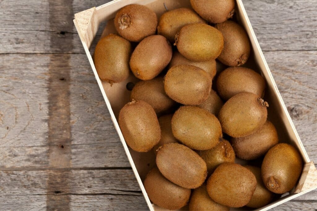 How To Store Kiwi (The Right Way) - The Rusty Spoon