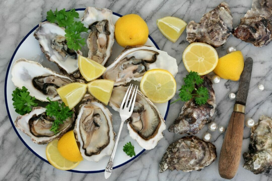 How Long Do Oysters Last? Fresh And Alive! The Rusty Spoon