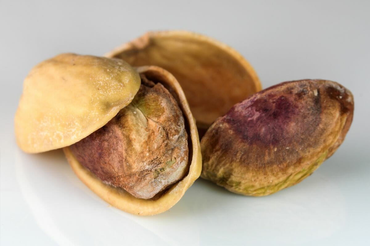 Can Pistachios Go Bad? (What About Unshelled Pistachios) The Rusty Spoon