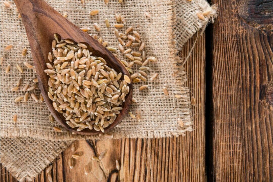 16 Best Farro Substitutes For Your Recipes That You Can Find Easily The Rusty Spoon