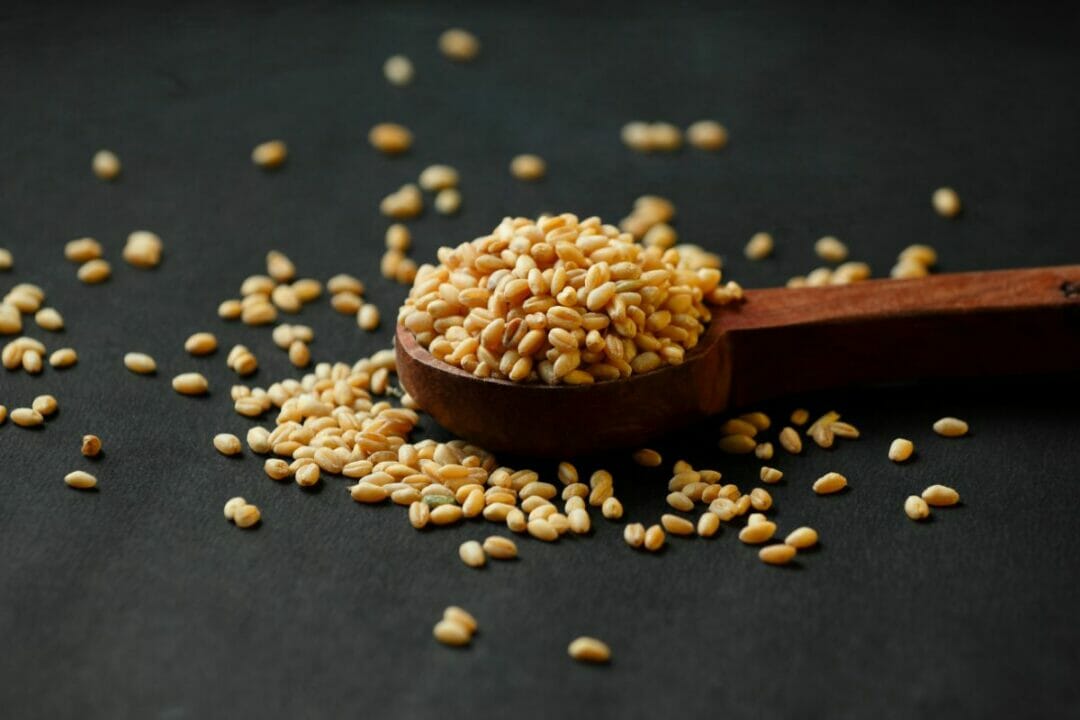 16 Best Farro Substitutes For Your Recipes That You Can Find Easily The Rusty Spoon