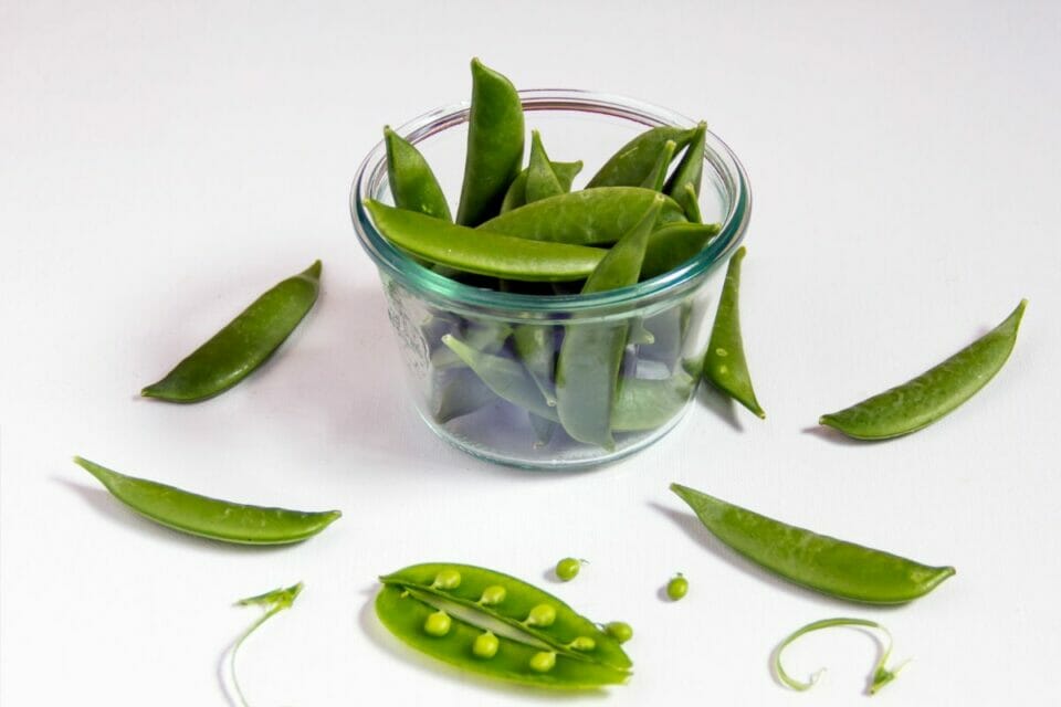 Can You Eat Sugar Snap Peas Raw? (And Health Benefits) The Rusty Spoon