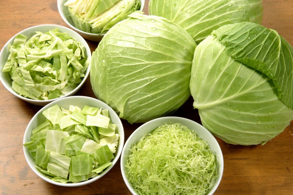 An Ultimate Guide On Can You Eat Cabbage Raw And Its Nutrients The