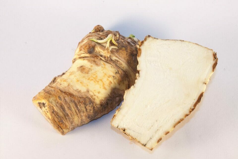 Can Horseradish Go Bad? (Yes & How To Store) The Rusty Spoon