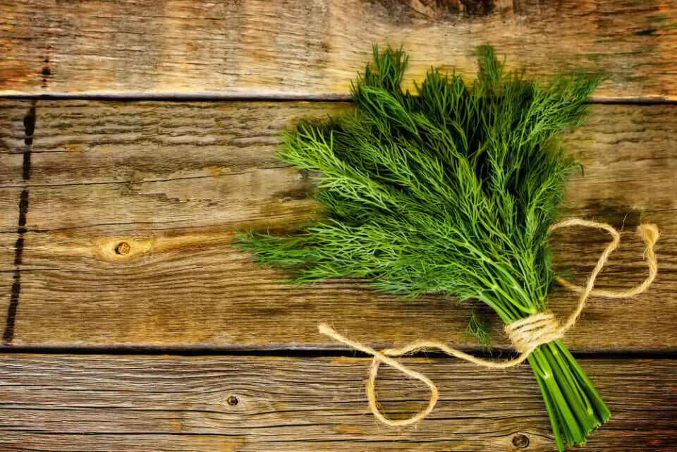 Simple Dil 21 Easy and Simple Dill Substitutes To Get A Similar Taste Profile ...