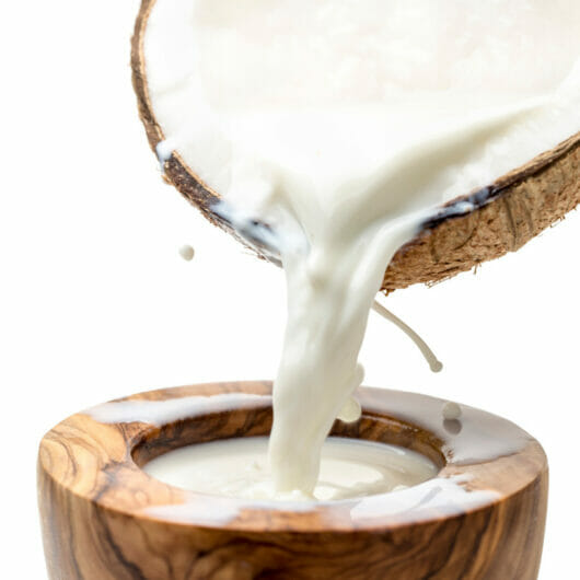 Is Coconut Milk Acidic And Bad For Acid Reflux The Rusty Spoon is-coconut-milk-acidic-and-bad-for-acid-reflux-the-rusty-spoon