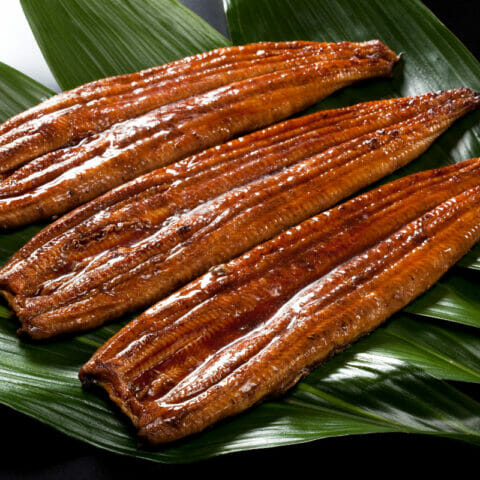 What Does Eel Taste Like? Is It Any Good? (Short Answer, Yes) - The